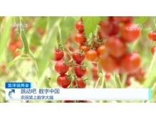 廣東省兩會(huì)關(guān)注數(shù)字農(nóng)業(yè)，構(gòu)建鄉(xiāng)村振興的數(shù)字藍(lán)海